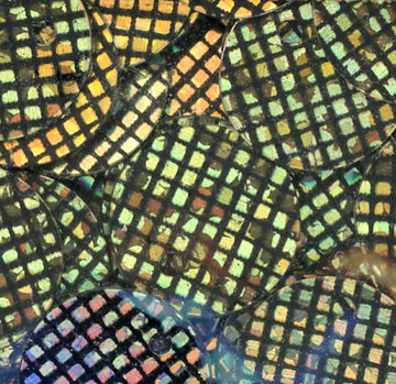 10mm Waffle paillette Black on Gold Hologram