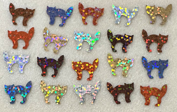 16mm Hologram Cats 2000 count