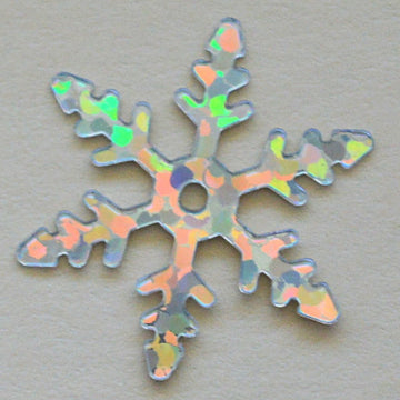 17mm Snowflake Hologram Silver