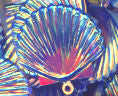 22mm Shell Crystal Opaque Blue Streak