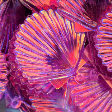 22mm Shell Crystal Iris Fandango Pink 50 Grams