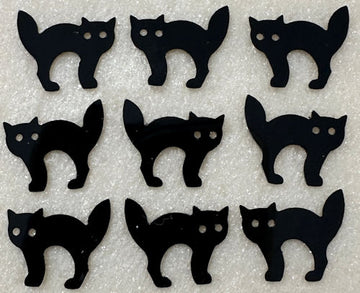 16mm Black Cats