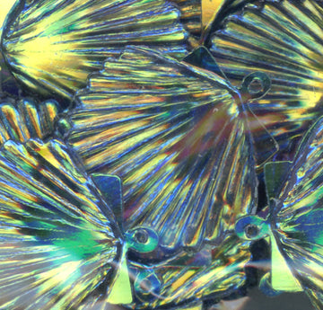 22mm Shell Crystal Iris Tempest 50 Grams