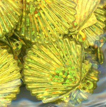 22mm Shell Hologram High Voltage 100 Grams