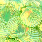 22mm Shell Crystal Opaque Groovy Green 50 grams