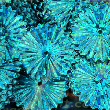 16mm Hologram Sunburst Turquoise 1000 count