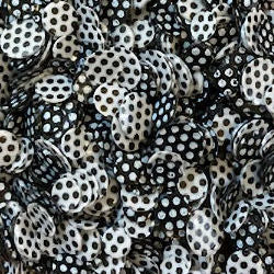 Confetti Polka Party Mix