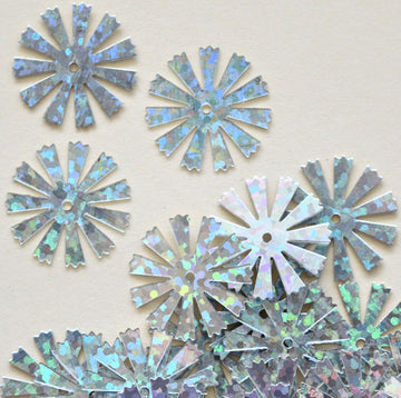 17mm Spokes Hologram Silver 1450 count