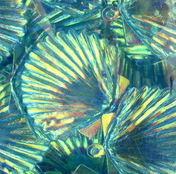 22mm Shell Crystal Iris Bali Breeze