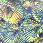 22mm Shell Crystal Iris Skyline 100 Grams