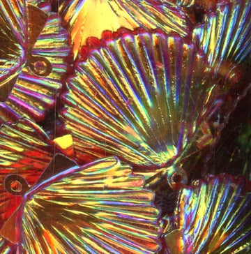 22mm Shell Crystal Iris Volcano