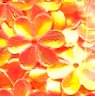 15mm Flower Crystal Opaque Red Hot