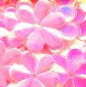 15mm Flower Crystal Opaque Powderpuff Pink