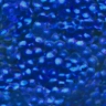 5mm Metallic Flower Cobalt Blue 100 Grams