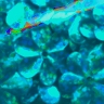 15mm Flower Hologram Turquoise