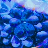 15mm Flower Hologram Cobalt Blue