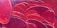 19mm Oval Metallic Red