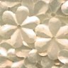 15mm Satin Flower Pearl 100 Grams