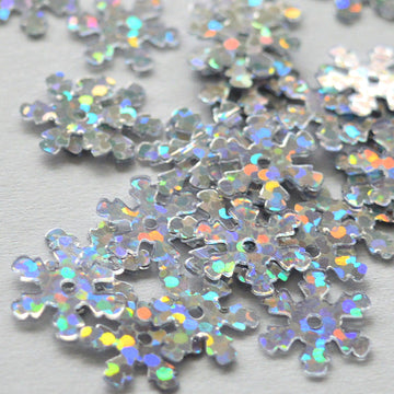 10mm Snowflake Hologram Silver