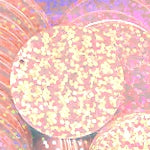 30mm Paillette Hologram Pale Peach 500 Count