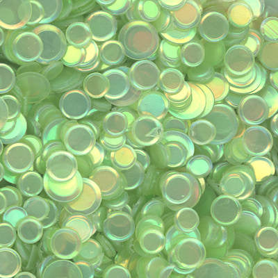 Rainbow Pearl Confetti Fern 100 Grams
