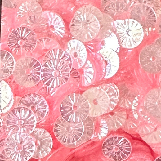 6mm Flat Embossed Candy Ice