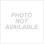 15mm Star Mix- 1000 count