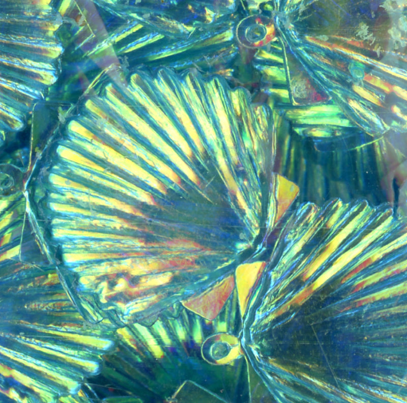 22mm Shell Crystal Iris Bali Breeze