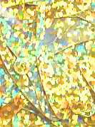 Cattail Hologram Bright Gold