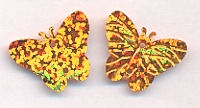 23mm Butterfly Hologram Bright Gold 500 count