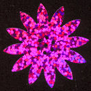 35mm Jumbo Sunflower Hologram Dark Pink 350 count