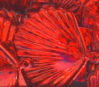 22mm Shell Hologram Red
