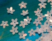 10mm Opalescent Flowers